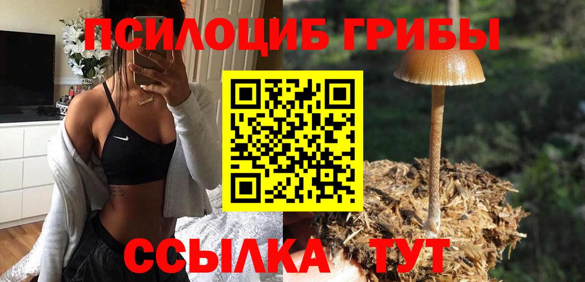 Новошахтинск  Псилоцибиновые грибы Magic Shrooms  Вход с VPN  Псилоцибиновые грибы MAGIC MUSHROOMS 